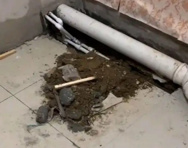 七台河卫生间漏水检测哪家好